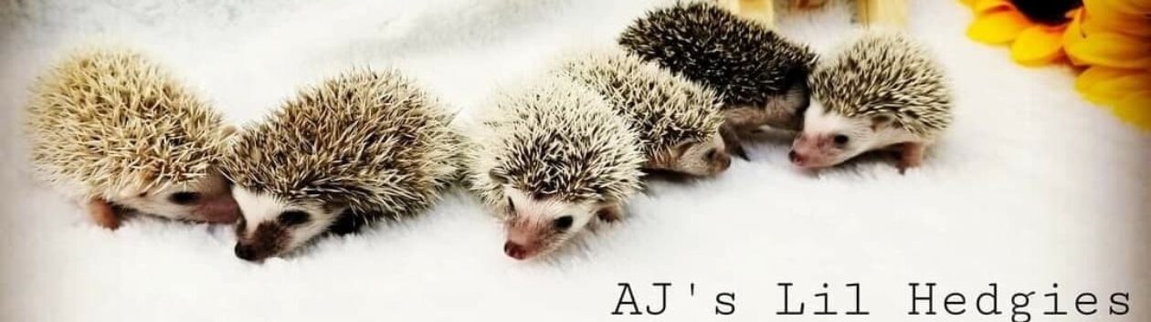 AJ's Lil Hedgies & Mousers